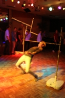 Mr. Casa de la Danza Wahl 2016 (26)