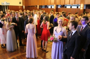 Premierenball 16.6 (33)