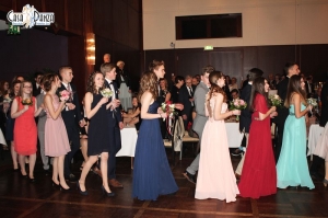 Premierenball Feb. 2018 (12)